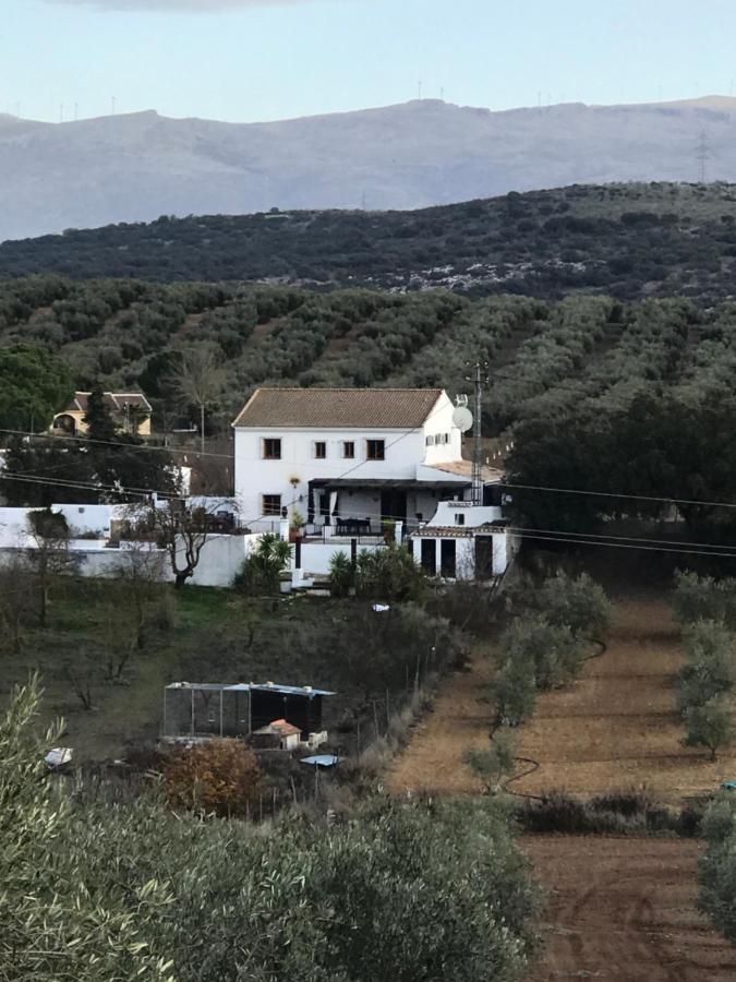 Todos Y Tonya Panzió Archidona Kültér fotó